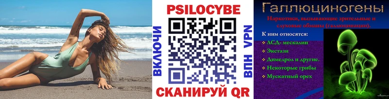 Купить где  Сорск  Галлюциногенные грибы прущие грибы 